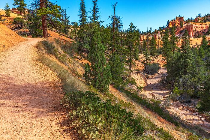 Dry trail, dry wash, Bryce Canyon National Park / Rebecca Latson