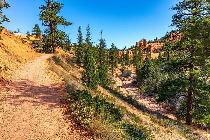 It can get a little steep on the trail, sometimes, Bryce Canyon National Park / Rebecca Latson