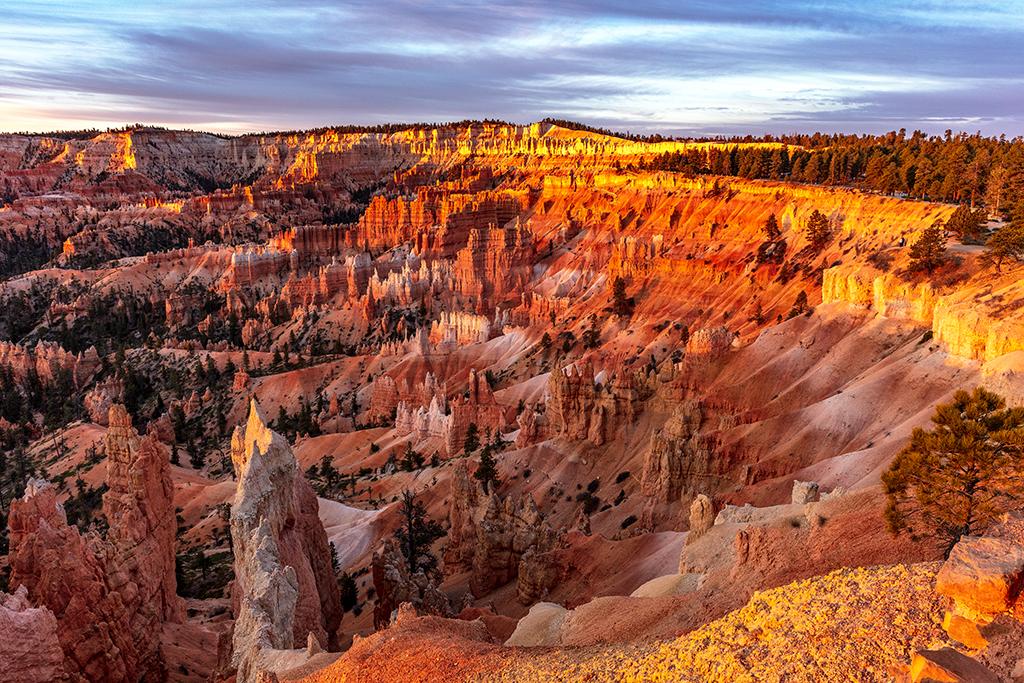 Gilded hoodoos at Sunrise Point, Bryce Canyon National Park / Rebecca Latson