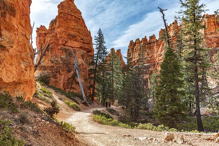 Taking a walk in the park, Bryce Canyon National Park / Rebecca Latson