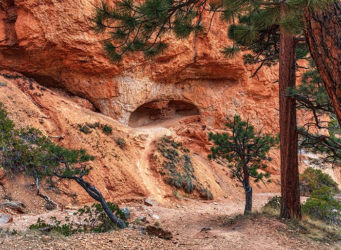 The process of erosion and an arch in the making, Bryce Canyon National Park / Rebecca Latson
