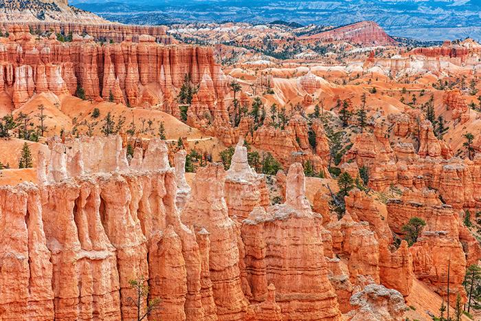 From rock wall to fin to hoodoo, Bryce Canyon National Park / Rebecca Latson
