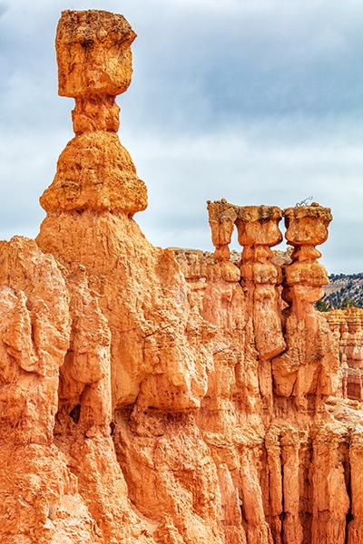 Hoodoos:  stone "totem poles," Bryce Canyon National Park / Rebecca Latson