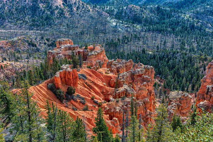 A close up of a far view at Farview Point, Bryce Canyon National Park / Rebecca Latson