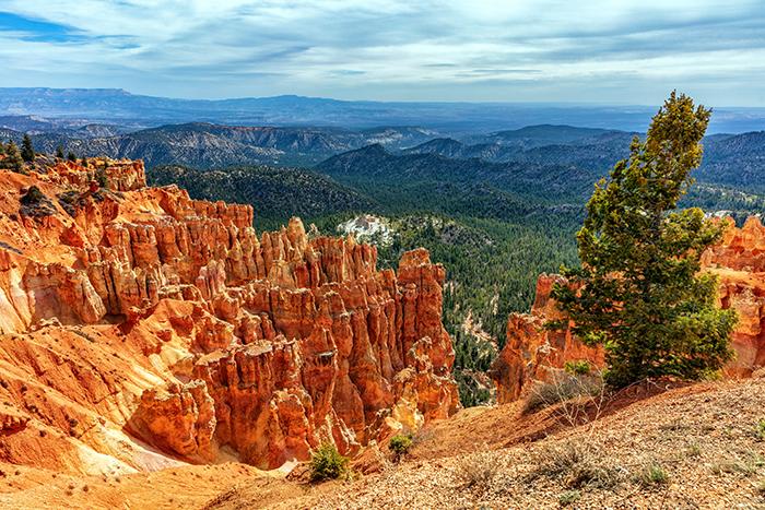 A look at the park from Ponderosa Point, Bryce Canyon National Park / Rebecca Latson