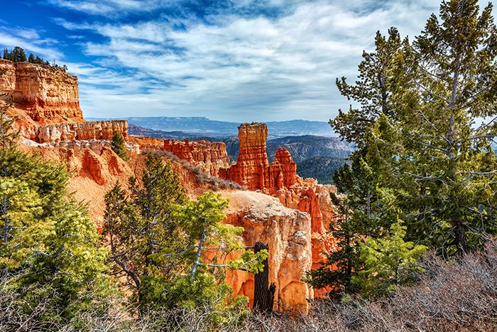 A view from the Agua Canyon overlook, Bryce Canyon National Park / Rebecca Latson