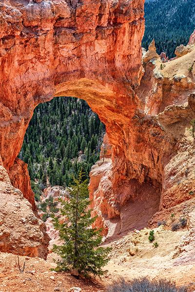 A closer look at Natural Bridge, Bryce Canyon National Park / Rebecca Latson