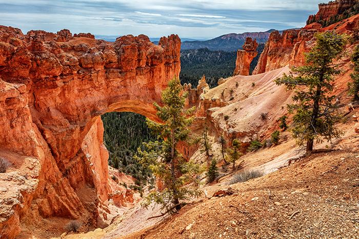 A wide view of Natural Bridge, Bryce Canyon National Park / Rebecca Latson