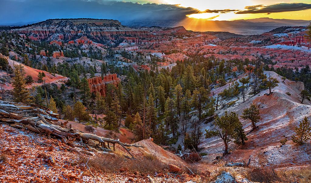 A swath of sunlight bathing the landscape, Bryce Canyon National Park / Rebecca Latson