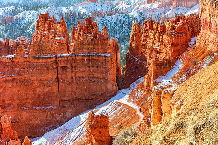 Snow and sun along the Navajo Loop Trail, Bryce Canyon National Park / Rebecca Latson