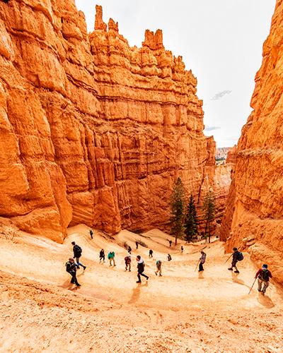 Up and down the Navajo Loop trail switchbacks, Bryce Canyon National Park / Rebecca Latson