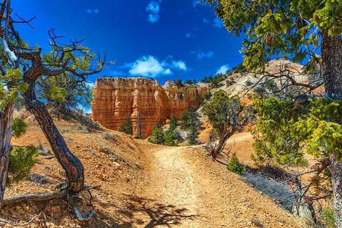 Heading back to the top, Bryce Canyon National Park / Rebecca Latson