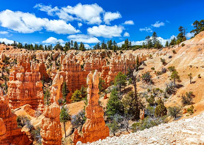 A look up toward the Fairyland Canyon view area and the scenery directly below, Bryce Canyon National Park / Rebecca Latson