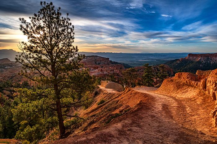 Morning light on the Queens Garden Trail, Bryce Canyon National Park / Rebecca Latson
