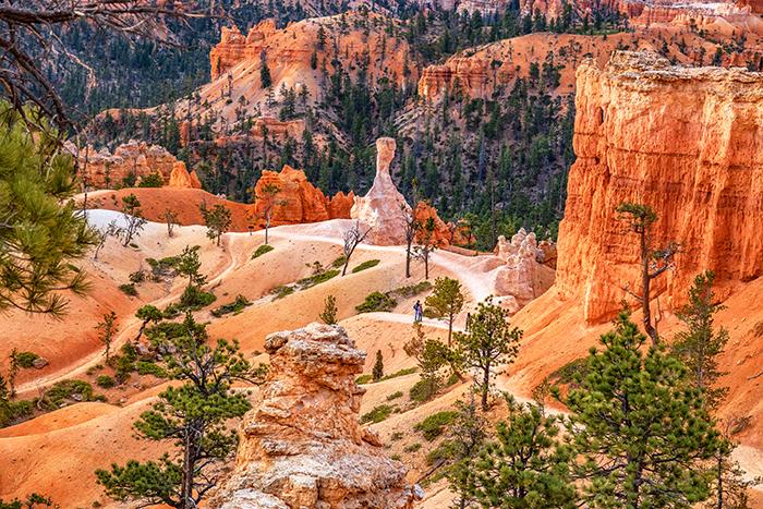 Hikers on the Queens Garden Trail below, Bryce Canyon National Park / Rebecca Latson
