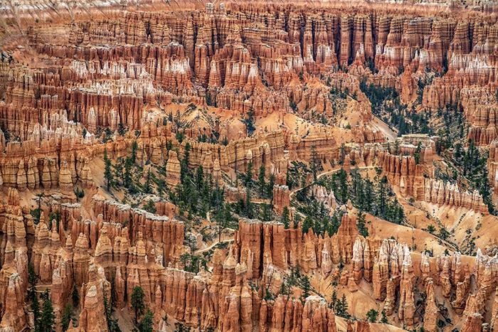 Silent City and Peekaboo Loop Trail, Bryce Point, Bryce Canyon National Park / Rebecca Latson
