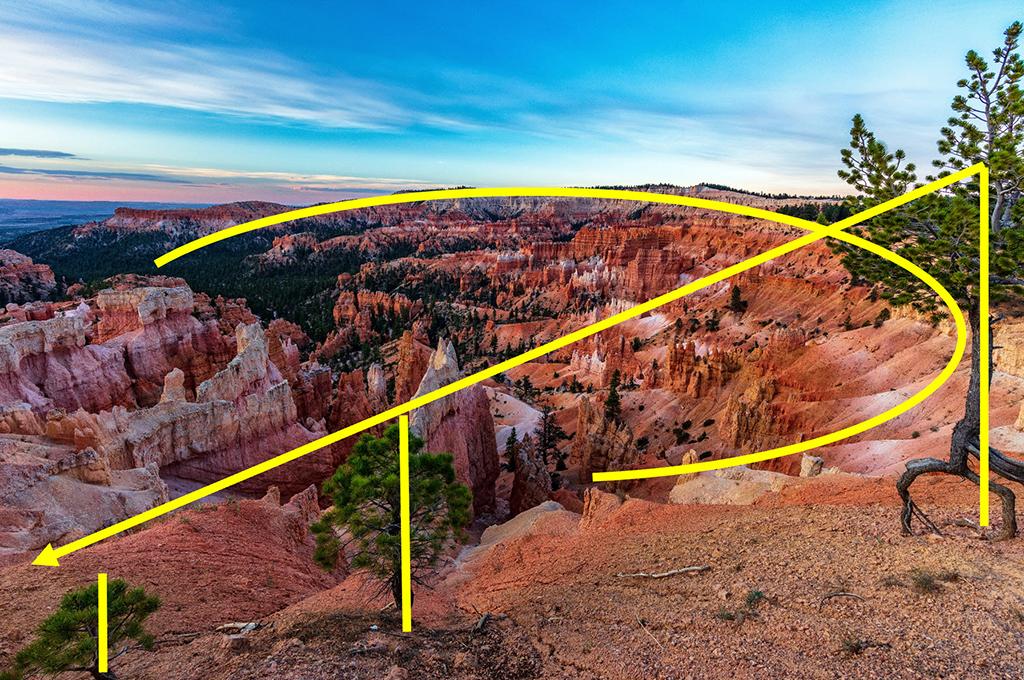 An amphitheater-sized arc and tree diagonal, Bryce Canyon National Park / Rebecca Latson