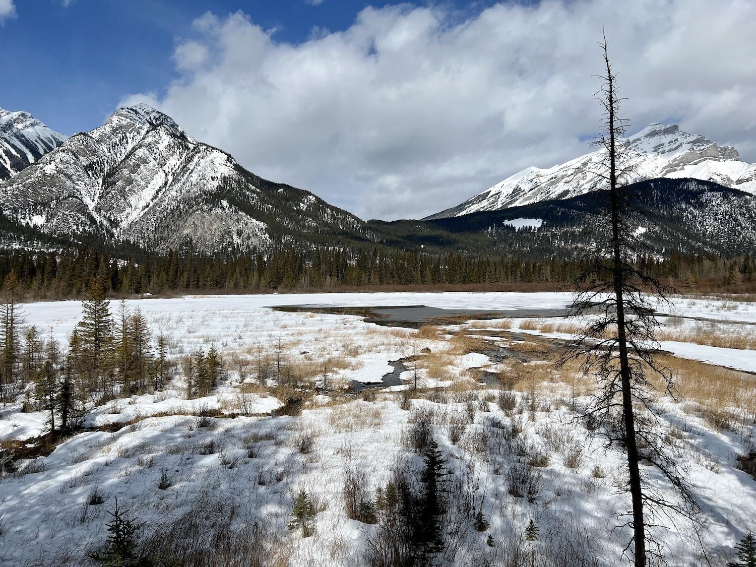 The area by the lower boardwalk is a birding and wildlife hotspot.
