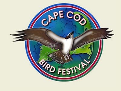 Cape Cod Bird Festival