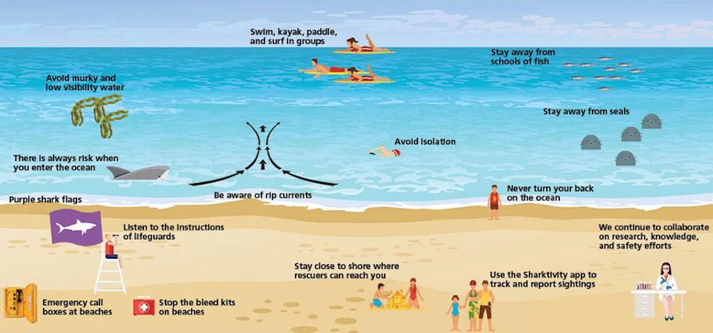 With the race to the beach underway, officials at Cape Cod National Seashore are pushing safety lessons/NPS With the race to the beach underway, officials at Cape Cod National Seashore are pushing safety lessons/NPS