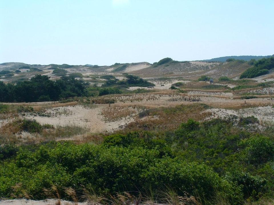The dunes around Provincetown long have attracted visitors/NPS file