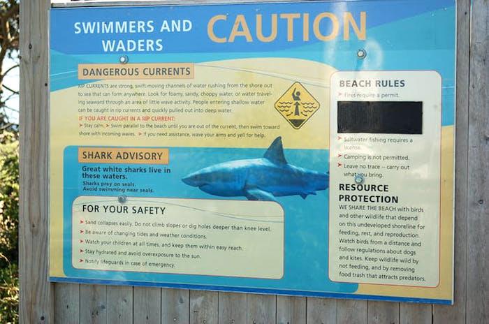 Warning sign at a Cape Cod beach/Carlos García-Quijano, CC BY-ND