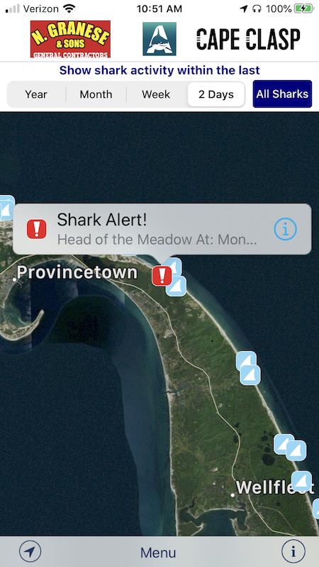 A great white shark was spotted off Head of the Meadow at Cape Cod on Monday/Sharktivity
