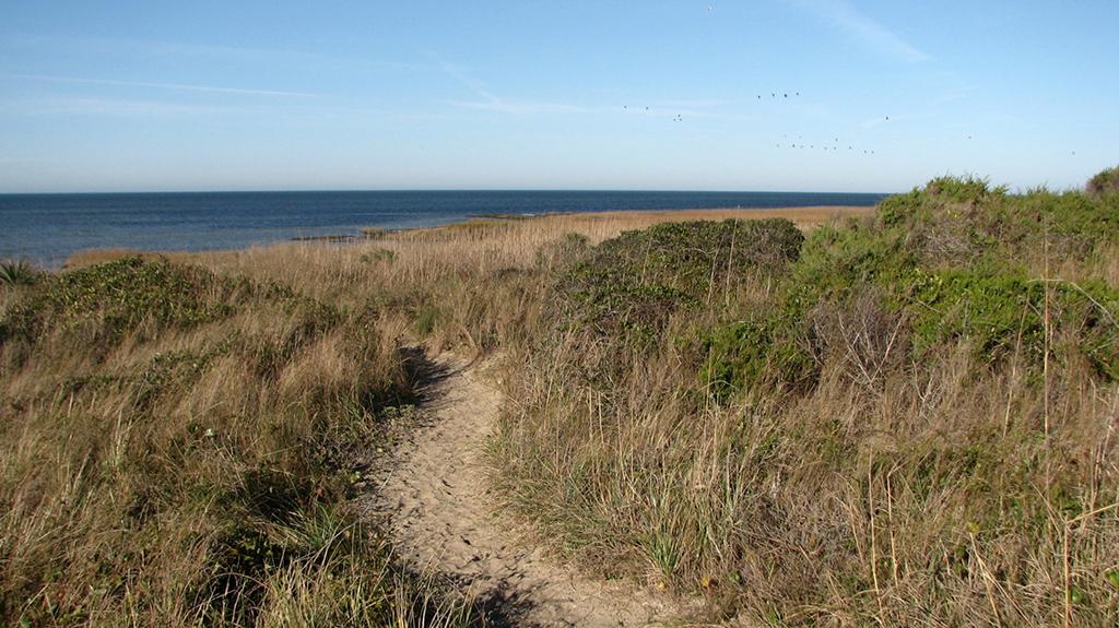Southside Path and view of the Pamlico Sound, Cape Hatteras National Seashore / National Park Service