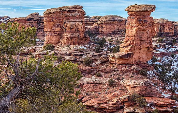 Needles District formations, Canyonlands National Park / Rebecca Latson