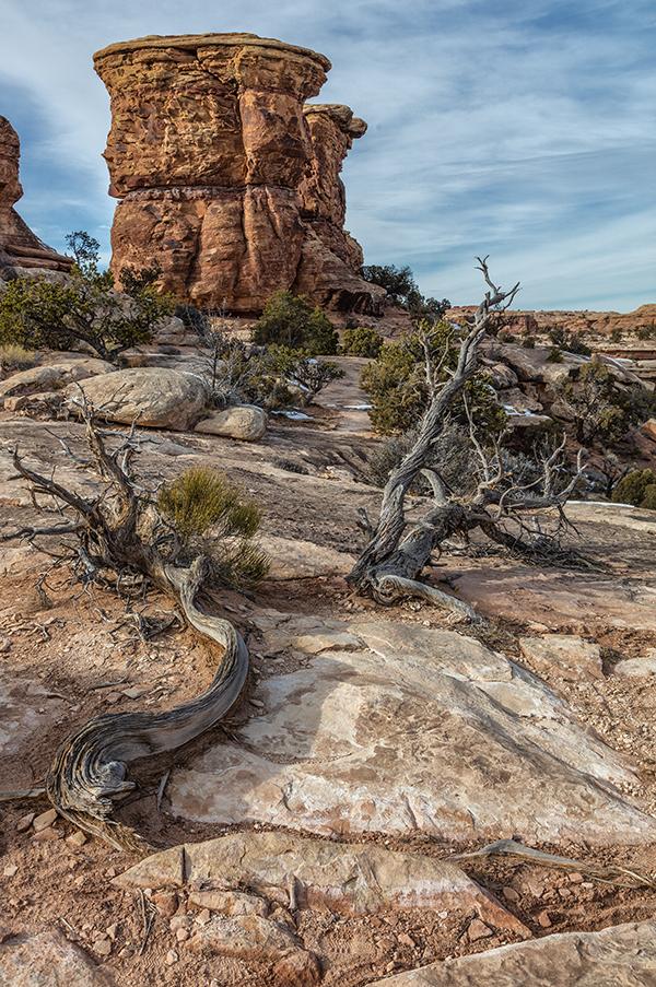 Eroded by time and the elements - uploaded to site without sRGB correction, Canyonlands National Park / Rebecca Latson