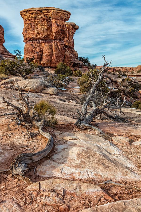 Eroded by time and the elements - converted to sRGB prior to uploading to site, Canyonlands National Park / Rebecca Latson