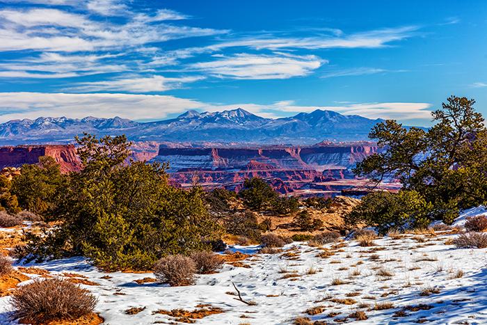 The view across the road from the visitor center, Canyonlands National Park / Rebecca Latson