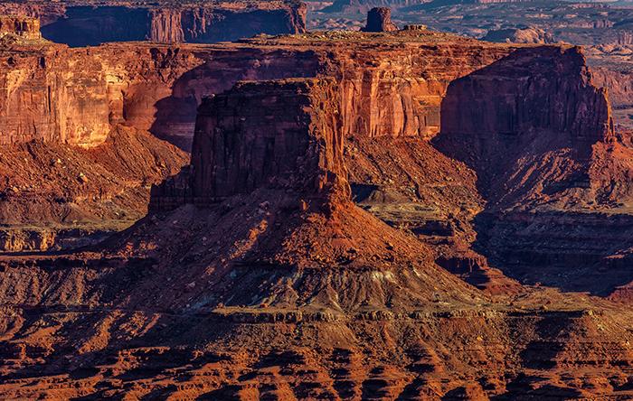 Mesas, butte and canyon land at Grand View Point, Canyonlands National Park / Rebecca Latson