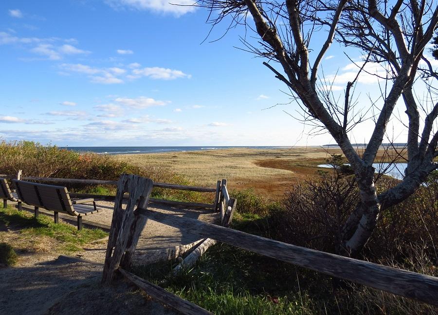 Cape Cod National Seashores Red Maple Swamp Trail Reopens