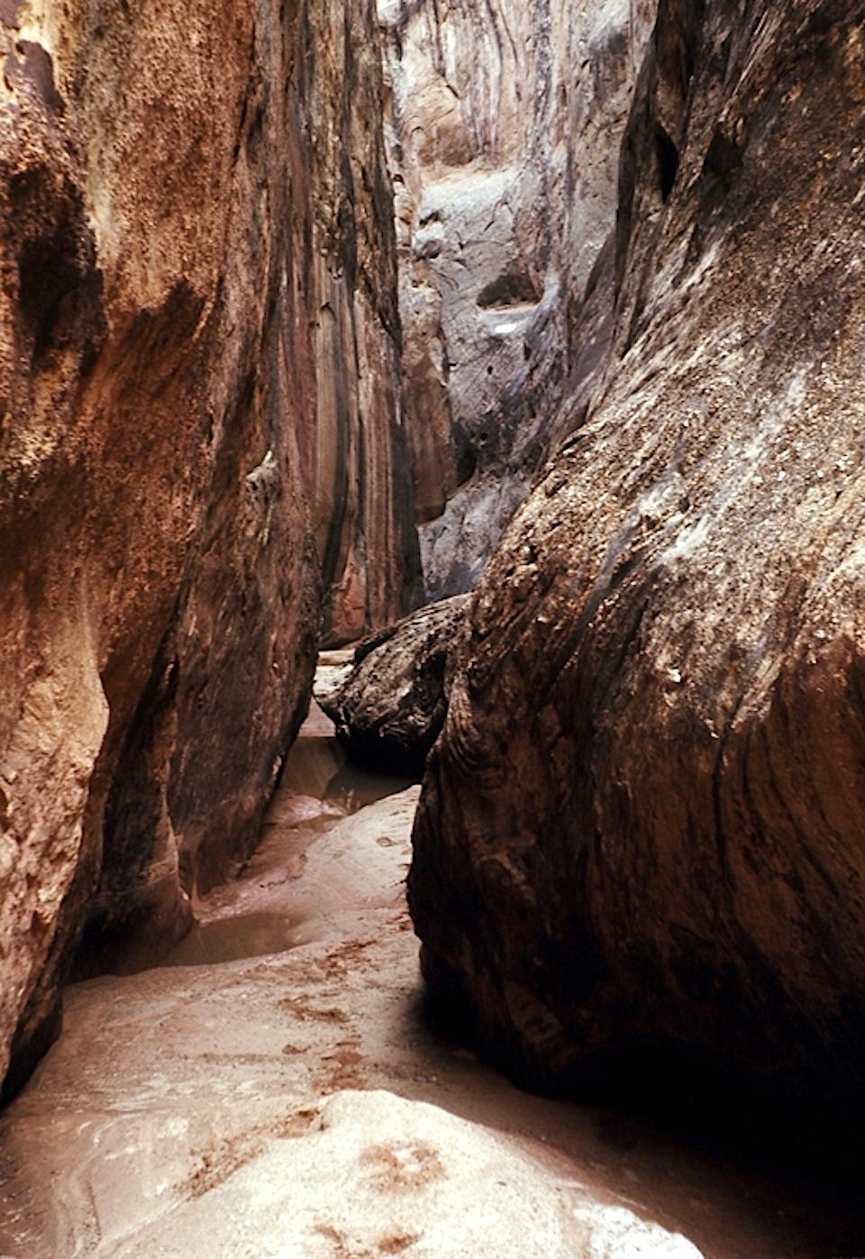 Beginning in January visitors to Capitol Reef National Park who want to go canyoneering will need a permit/NPS