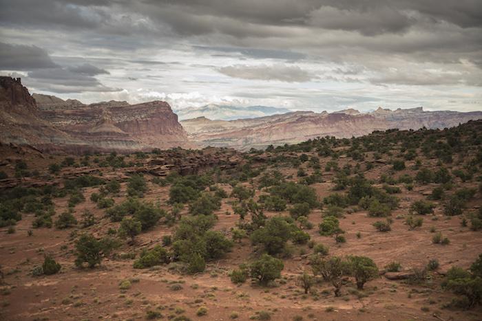 Waterpocket Fold in Capitol Reef National Park/NPS, Nathan Gross