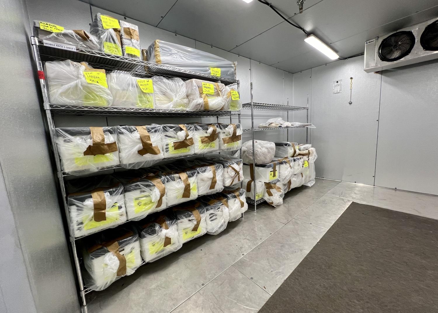 At the Cane River Creole National Historical Park Curation Facility, items from Oakland and Magnolia plantations are frozen and treated for bugs before storage.
