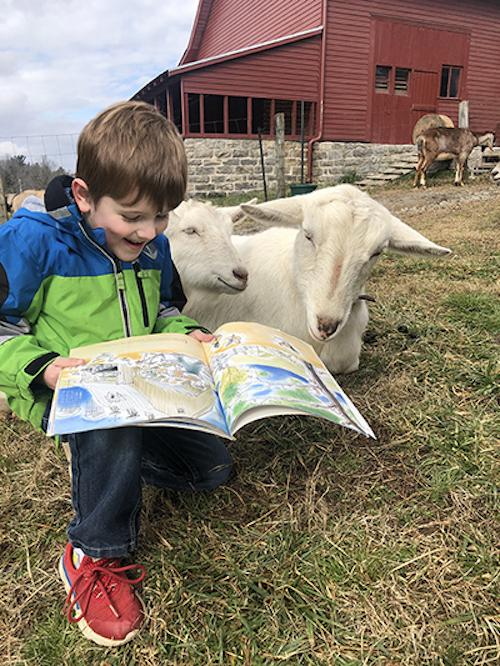 Read to a goat at Carl Sandburg Home National Historic Site/NPS