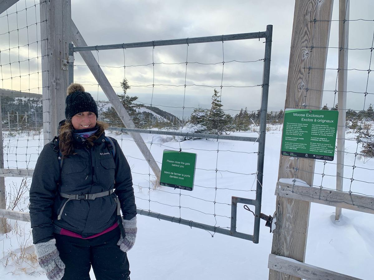 Parks Canada's Tammy Aucoin gets ready to open the moose "exclosure" gate.