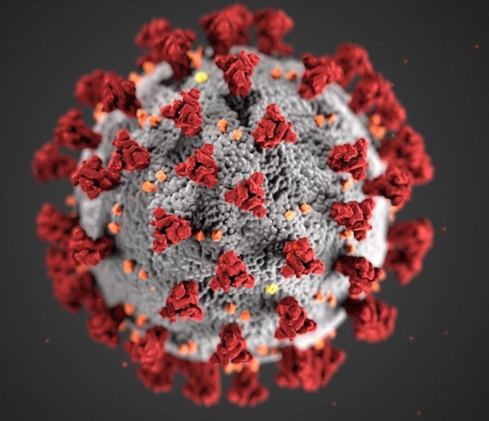 Coronavirus image/CDC,Alissa Eckert, MS; Dan Higgins, MAMS