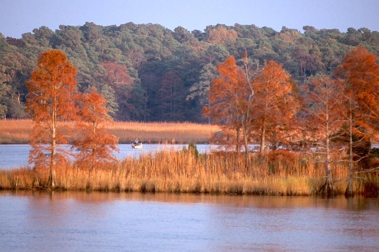 Fall in the Chesapeake region/NPS