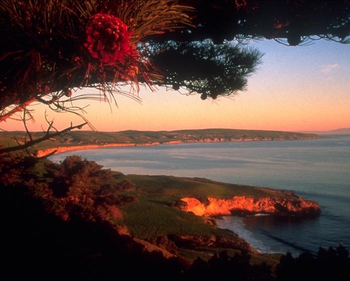 Sunset at Torrey Pines in Channel Islands National Park/NPS