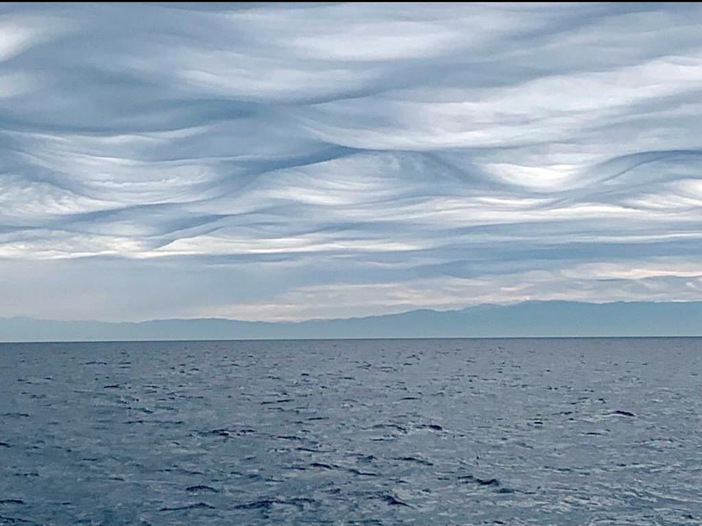 Would these wavey clouds make you seasick? Channel Islands National Park / NPS-Emily Zivot