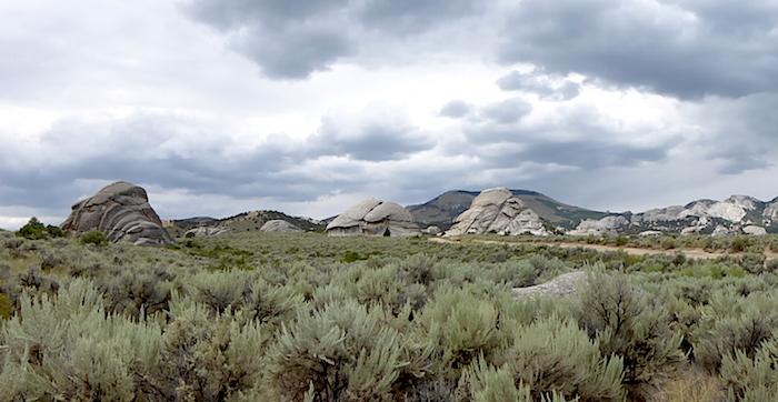 Sagebrush and granite at City of Rocks National Reserve/Scotts