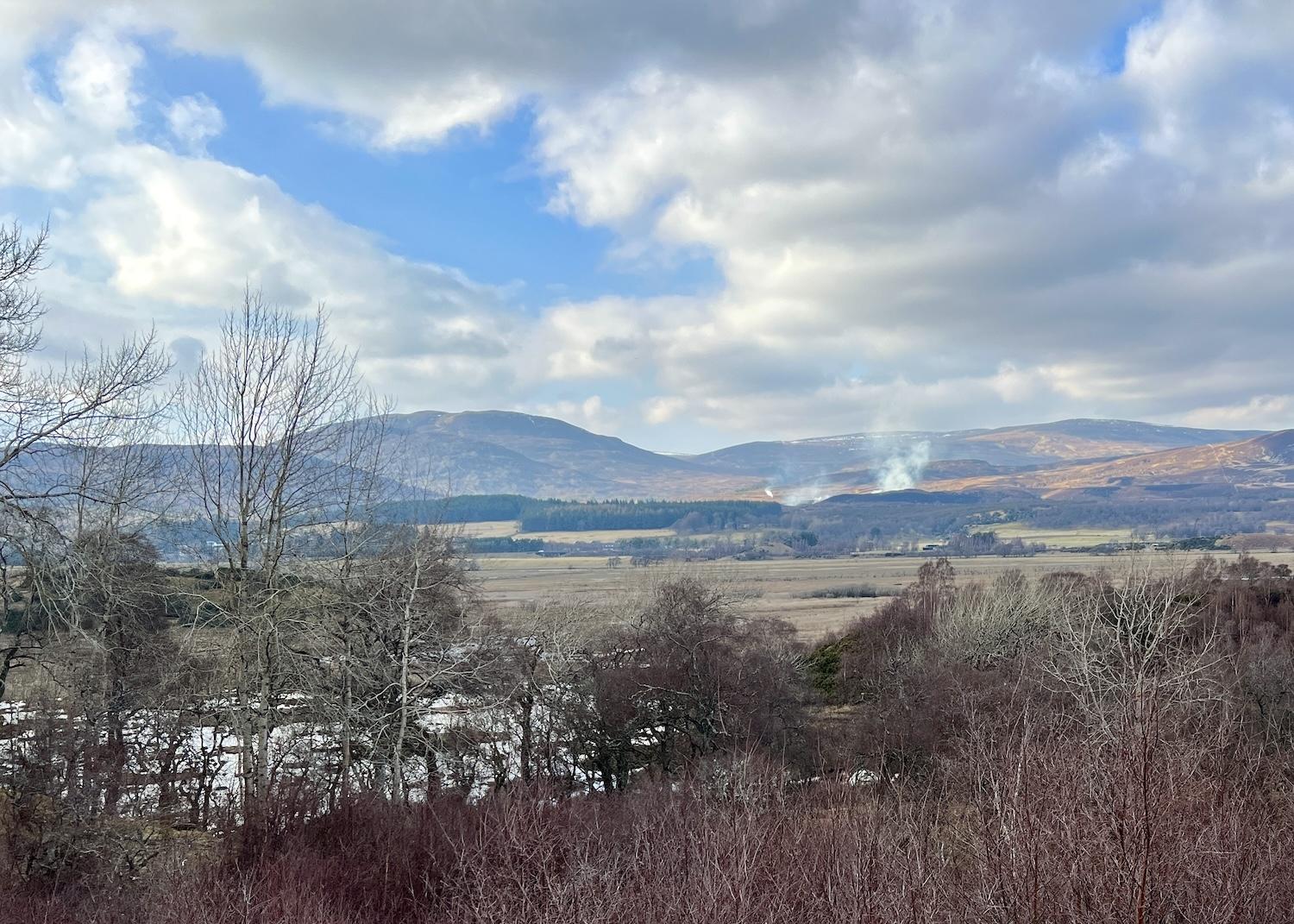 From Insh Marshes, we spot someone burning heather to create new green shoots to feed red grouse.