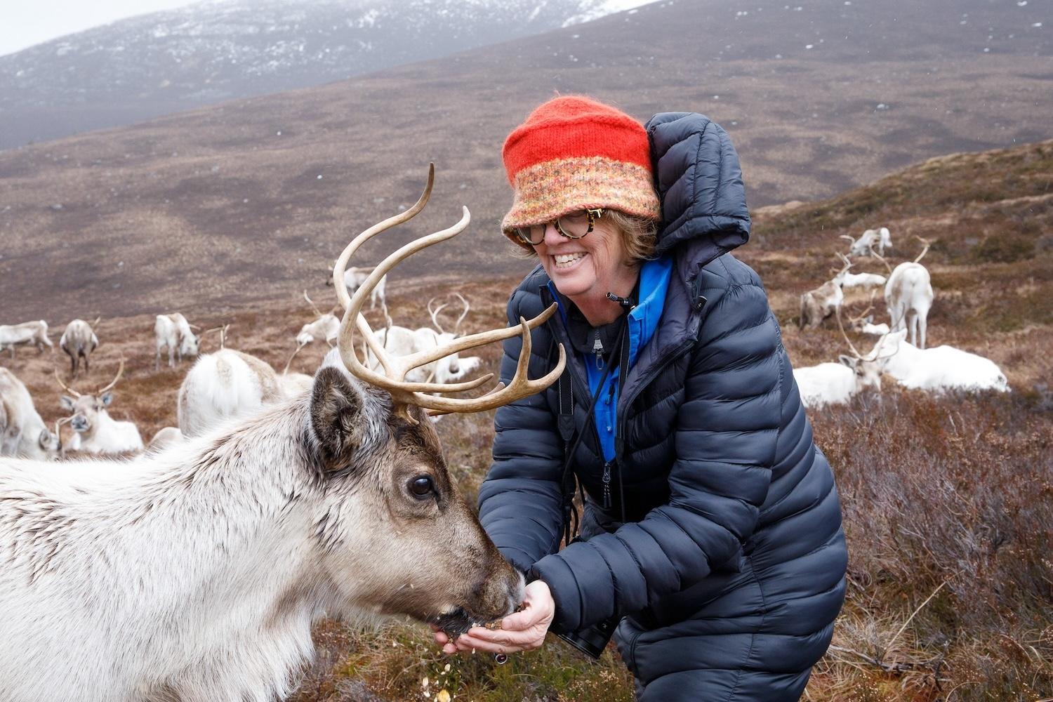 Writer Jennifer Bain hand feeds a reindeer in the Cairngorms in Scotland.