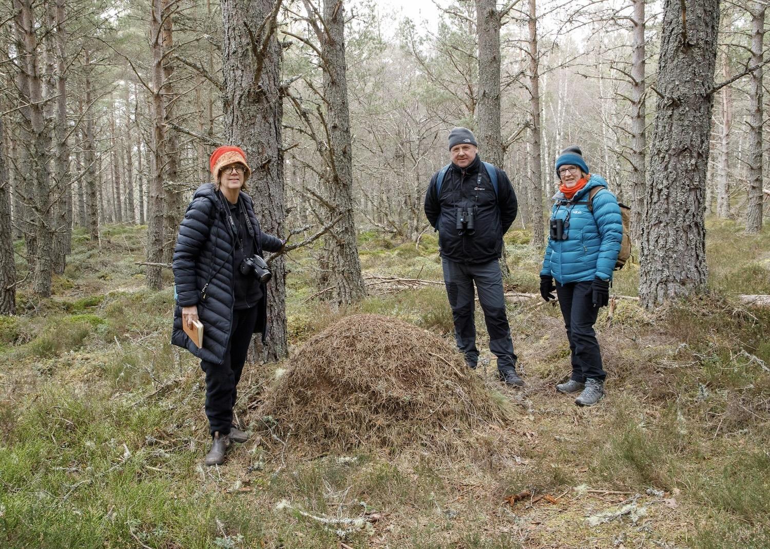 Wilderness Scotland guests Jennifer Bain, Carl Broomhead and Debbie Robson stand by a Scottish wood ant nest in the Abernethy National Nature Reserve.