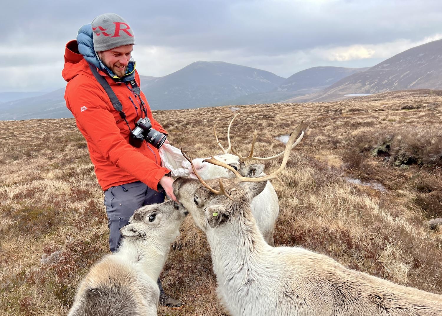 Joe Mann is a guide with Wilderness Scotland, an adventure holiday company, and a seasonal herder with the Cairngorm Reindeer Herd.