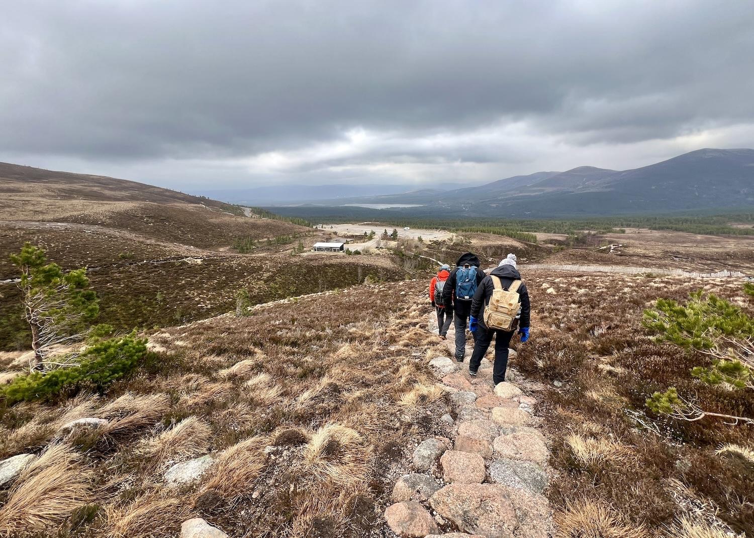 After feeding the free-ranging reindeer in the Cairngorms, our Wilderness Scotland group walks back down to the parking lot.