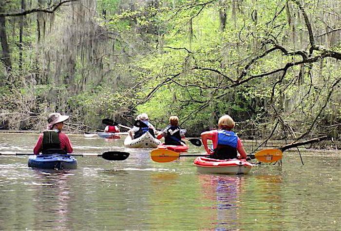 Paddling is a fun way to explore Congaree National Park/NPS